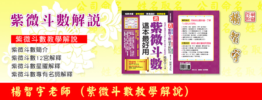 紫微斗數解說教學圖-楊智宇老師算命