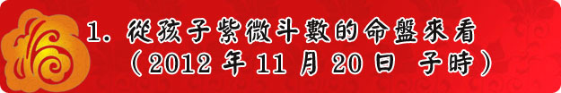 1.從孩子紫微斗數的命盤來看（2012年11月20日 子時）