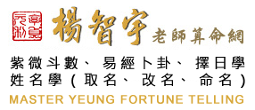 楊智宇老師算命網LOGO