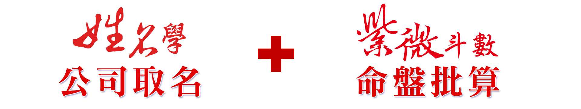 公司取名+負責人紫微斗數命盤圖