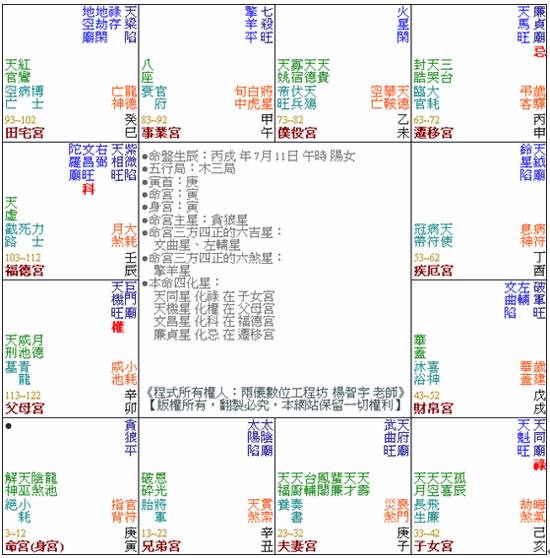 紫微斗數命盤示意圖